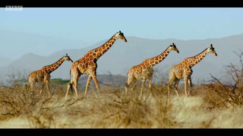 We're losing biodiversity at a rate