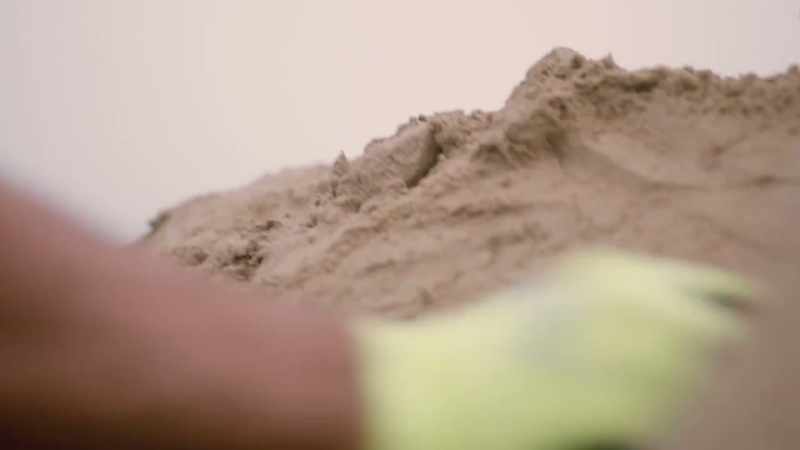 We're making an animal that was on the earth