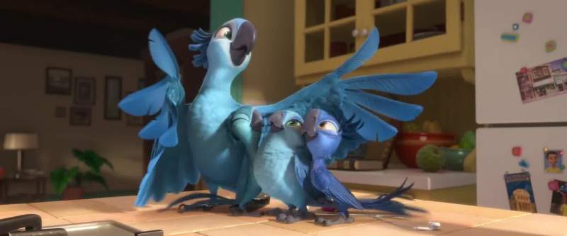 We're not people we're birds