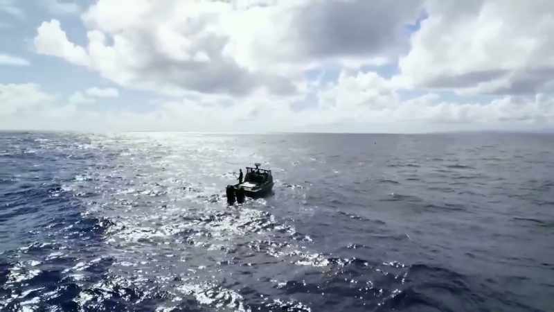 We're not the only ones out here trying to catch fish