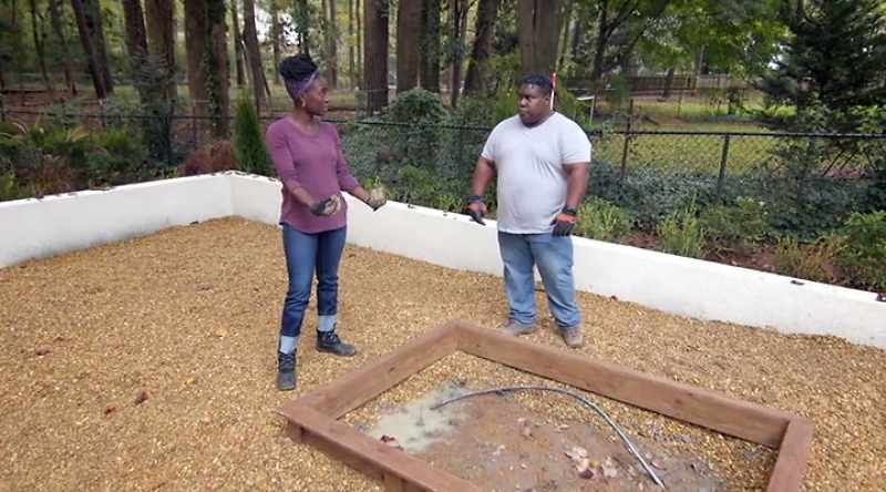 We're putting in cabbages, and kale, and collards