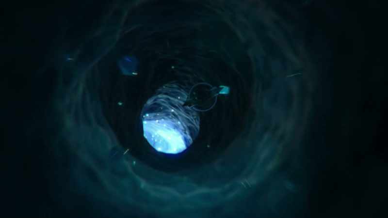 We're riding the mycelium, that underground network that