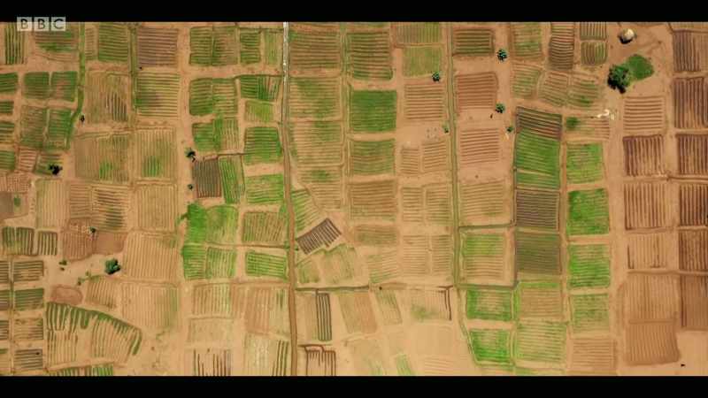 We're seeing already that due to soil degradation and changes