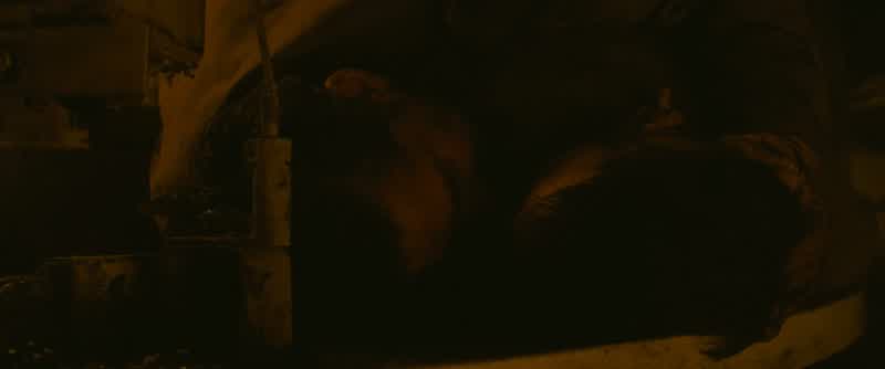 Hey Grady Get up We're still in this fightWe're still in this fight