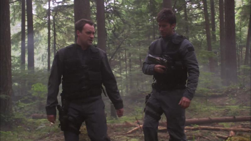 We're talking about 100 square miles of forest here