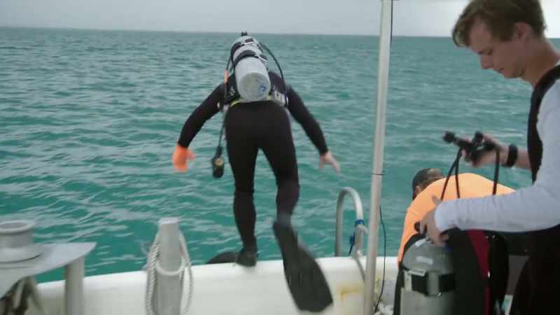 We're trying to put a diver under the water