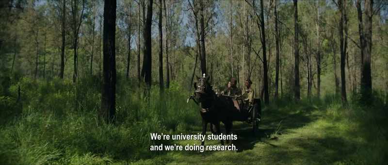 We're university students, and we're doing research