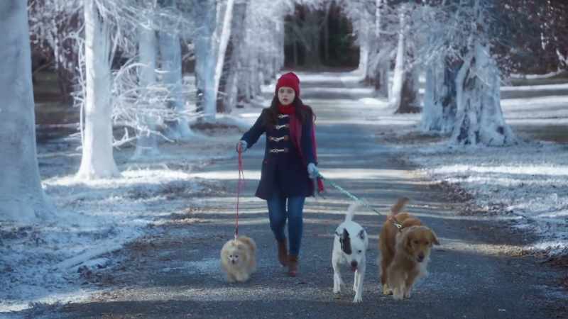 We're walking