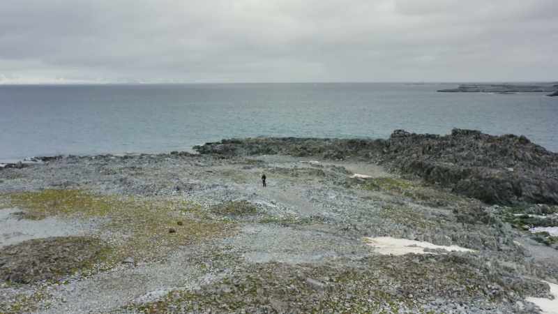 We're working with canaries in the coal mine