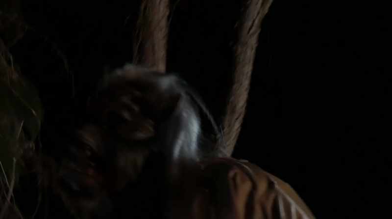 (werewolf growling and shrieking)
