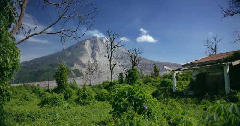 [Werner] Indonesia was the right place for an aspiring scientist