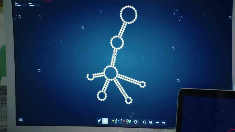 WERNER: This idea was impossible before the internet