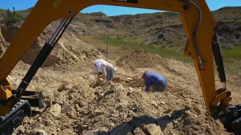 WE'VE BEEN DIGGING FOR DAYS ON END