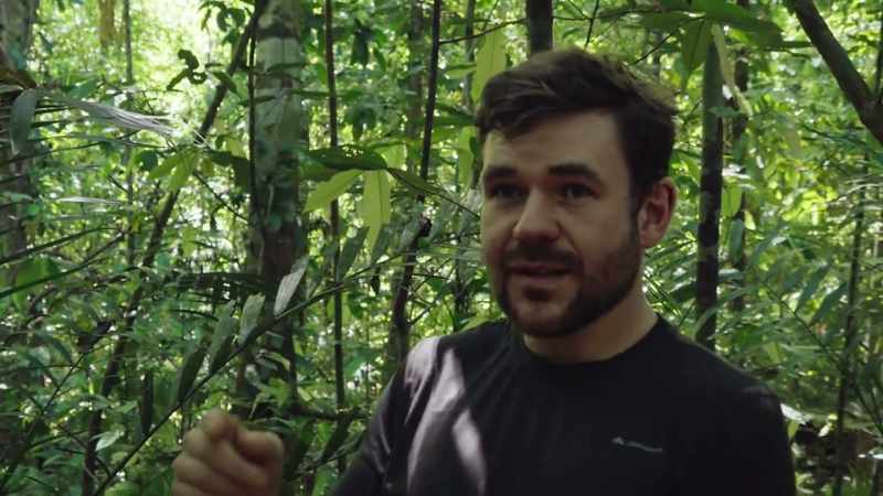 We've been filming the ants with the Triffid