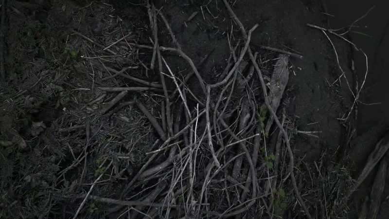 We've got a clog there of brushes and branch