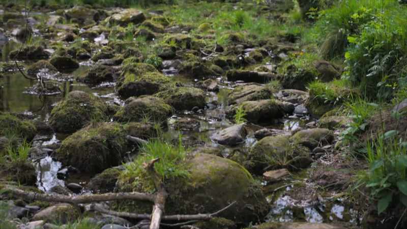 We've got everything from globally important peatlands