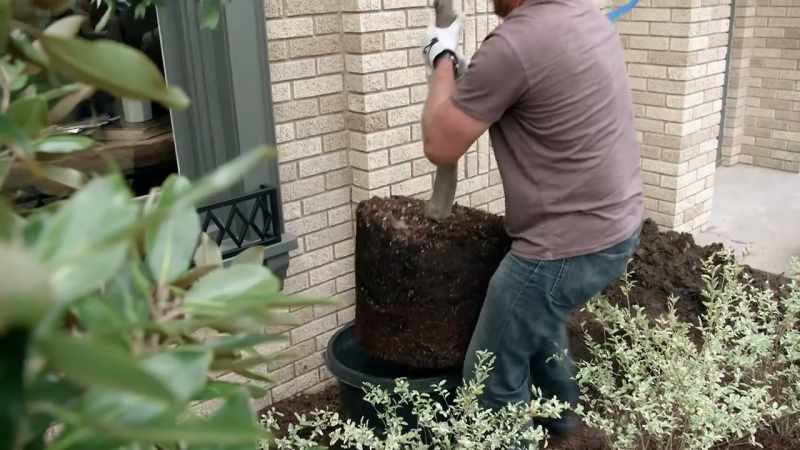 We've got landscaping going in