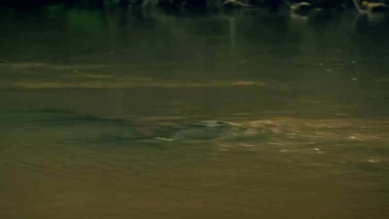 WE'VE HEARD LOUD SPLASHING SOUNDS