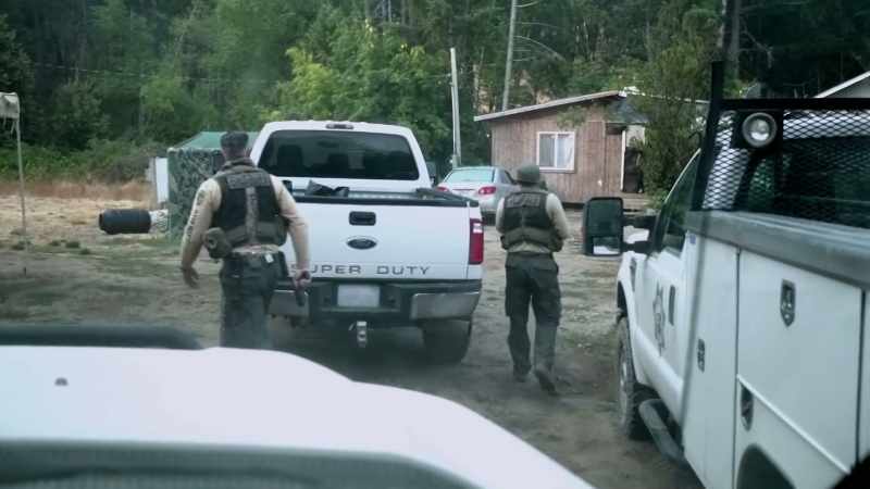 We've seized enough firearms