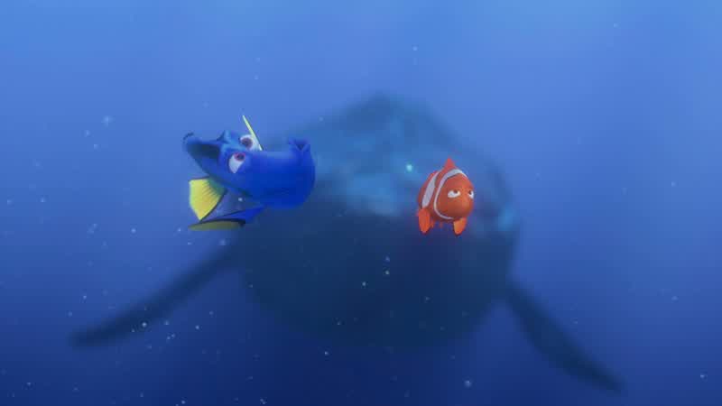 Whales don't eat clown fish