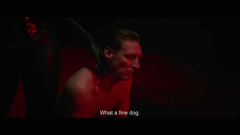 What a fine dog