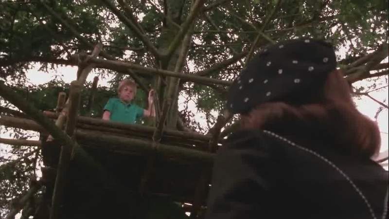 What a magnificent tree house