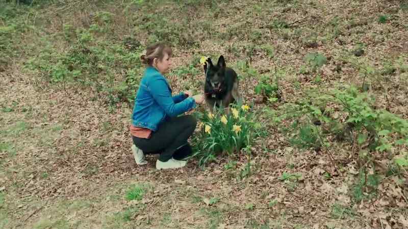 What are you doing? -Daffodil
