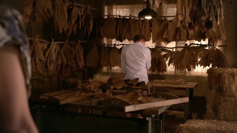 What are you doing in a barn?