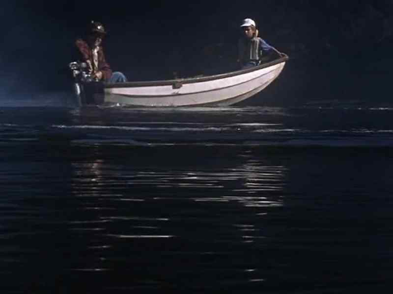 What are they doing? - Scaring away the fish