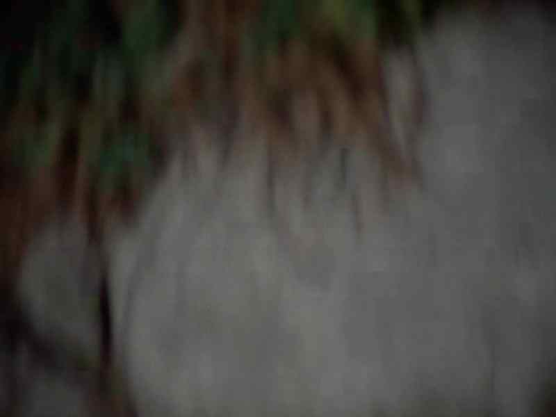 What are you doing there?