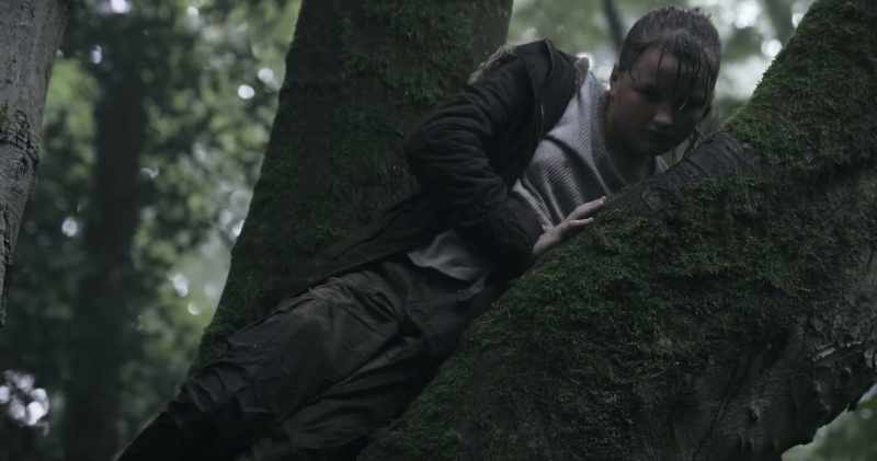What are you doing up that tree? Ey?