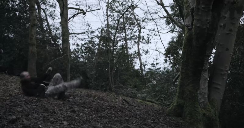 What are you doing up that tree? Ey?