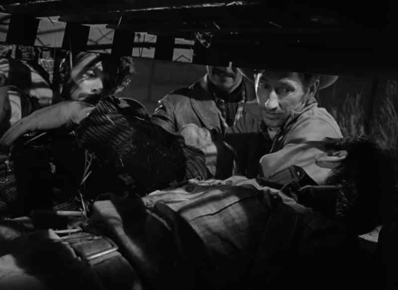 What are you doing? - We ain't freighting corpses