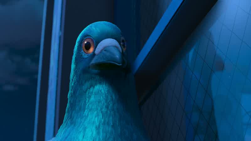 What are you looking at, feathers?