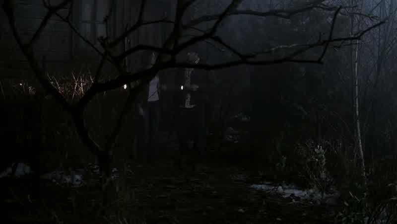 MOLLY: What are we looking for?