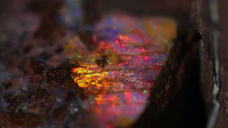 What they are looking for, is Queensland's boulder opal