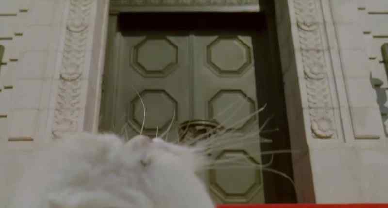 What are you planning to do, Mighty Mouse, scale the wall?