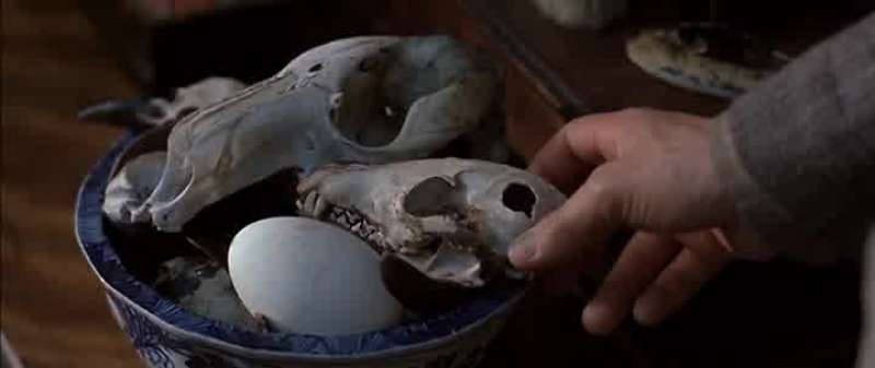 What are these these skulls