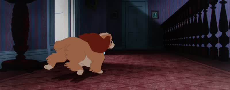 What is it old girlWhat are you tryDarling Aunt Sarah come hereWhat is it JimA ratA ratWe should've knownI misjudged himBadlyCome on We got to stop that wagonBut man we don't know which way they've
