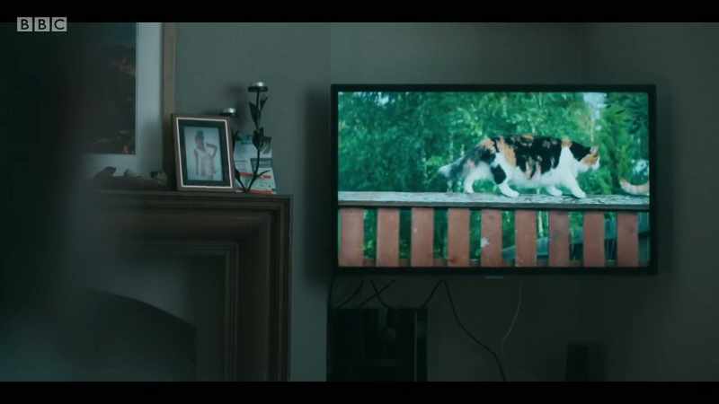 What are you watching?