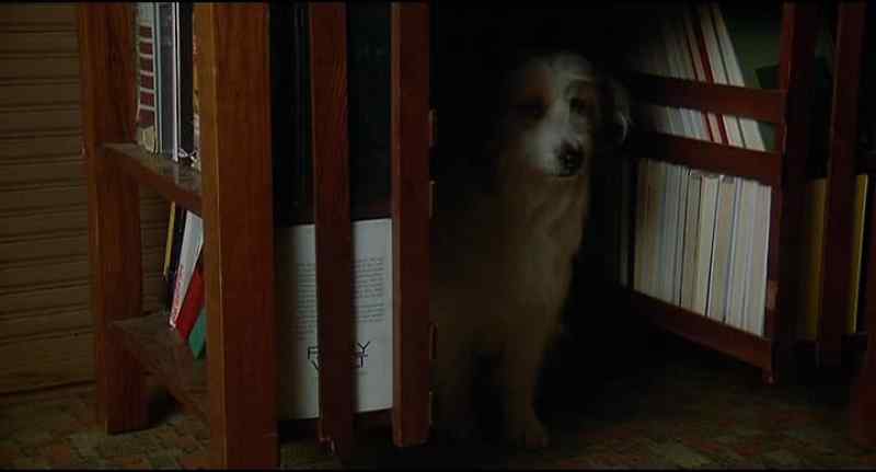 What are you doin' under there?