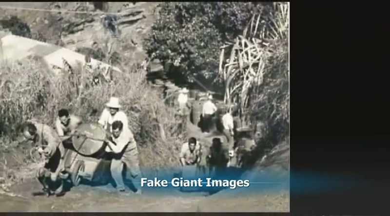 What aspect that surfaces is fake images