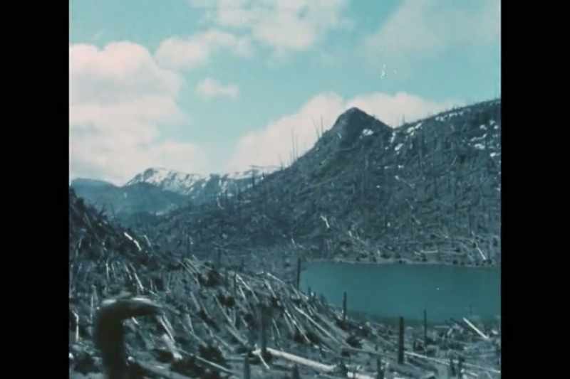 What became evident in the Toutle River system