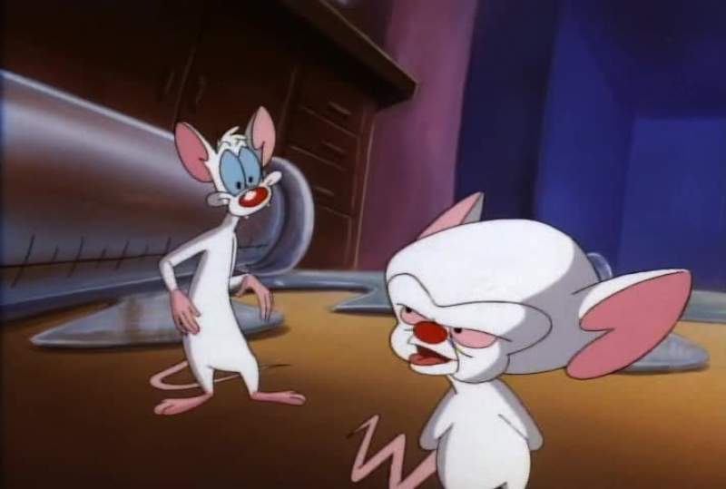 WHAT BRAIN WHAT WE GOING TO DO TOMORROW NIGHT