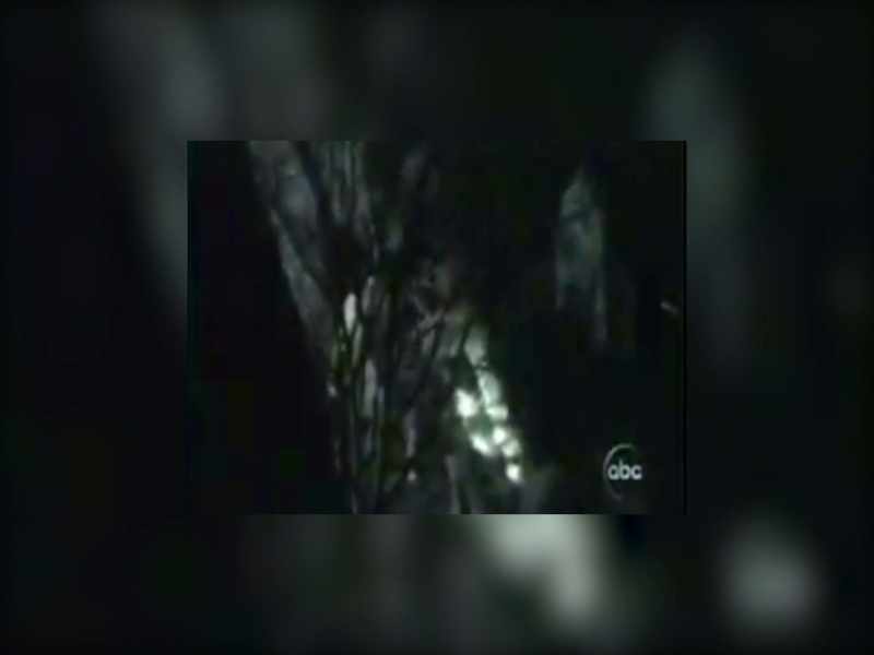 What they captured, they say