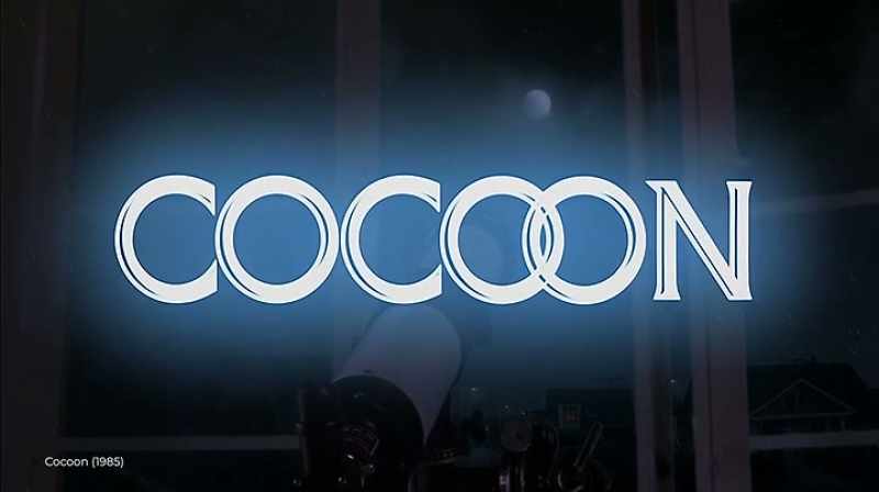 What cocoon did, in a very interesting way