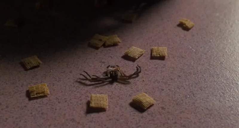 What could have killed it