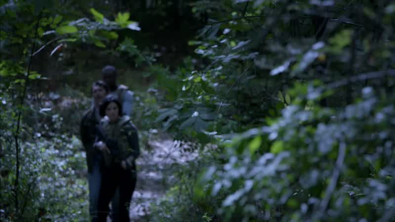 What could you possibly be hoping to find this far into the forest?