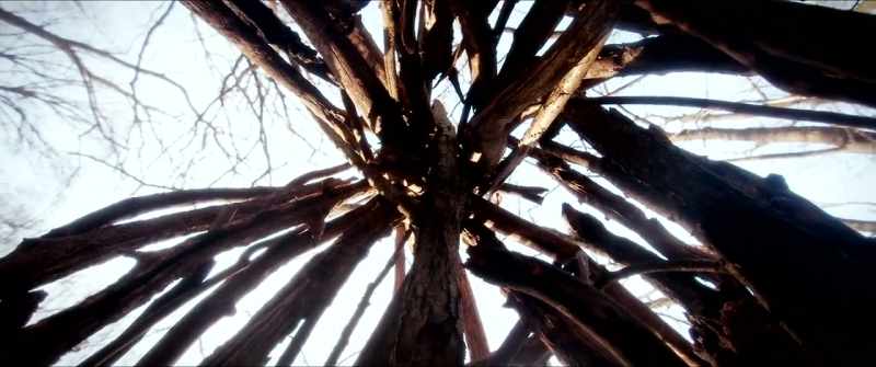 What counts is between the 25 frames per second