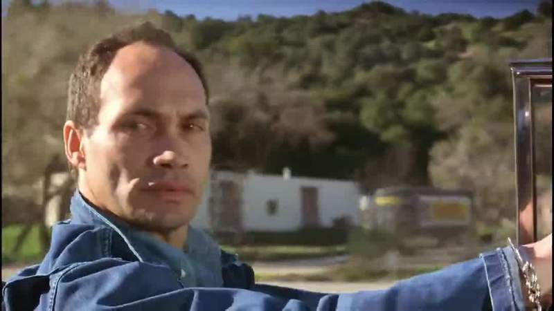 What did you do